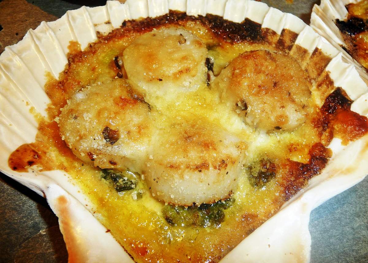 Coquilles St Jacques gratinées