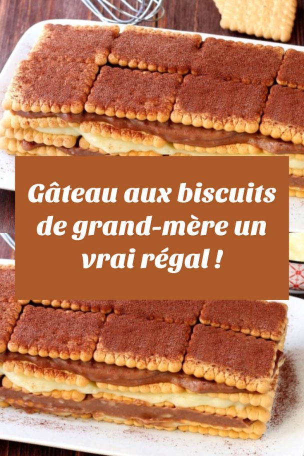 Gâteau Aux Biscuits De Grand Mère Un Vrai Régal Page 2 Sur 2 Bon A Savoir 