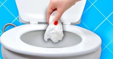 Où faut-il jeter le papier hygiénique dans la cuvette des toilettes ou dans la poubelle