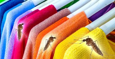 Quelles sont les couleurs qui attirent les moustiques ?