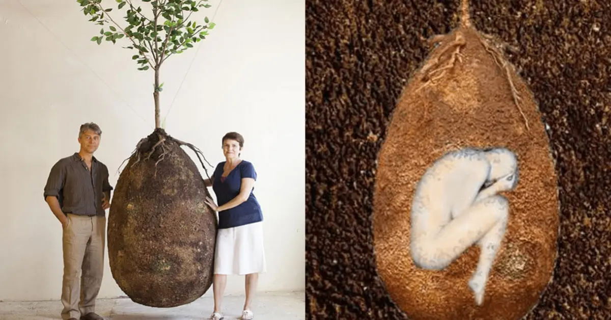 Ces capsules d’enterrement organiques remplacent les tombes par des arbres