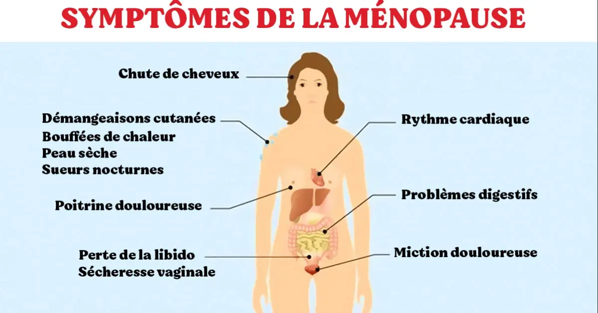 Combien de temps dure la ménopause et quels sont les premiers symptômes