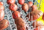 Mettez des pommes de terre au lave-vaisselle : l’astuce géniale qui facilite la vie